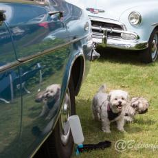 Oldtimer Events Lienden-318